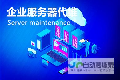 专业网站代运营